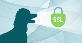 Kutya sziluett mellette egy SSL-t szimbolizáló lakat