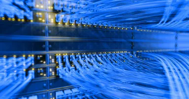 A mass of blue computer cables connected on a computer server