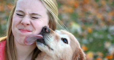 <p>Cry havoc! And let loose the dogs of crypto! New CrowdStrike research details a cryptojacking campaign (called &#8220;Kiss-a-Dog&#8221;) targeting Docker and Kubernetes cloud servers around the world. (Image credit: Melissaperryphtography via Getty).</p>
