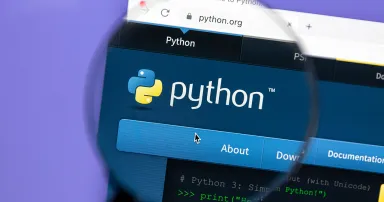 Python website.