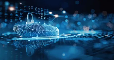 Business Security with Fingerprint Scanning for Digital Access Network Protection Against Cyber Threats and Online Identity Theft Prevention