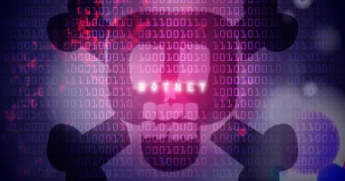 botnet virus at a computer screen skull