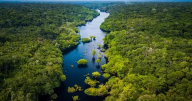 Amazon Rainforest