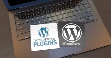 <p>(Credit: Bilal Ulker – stock.adobe.com)</p>