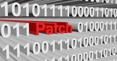 patch presented in the form of binary code