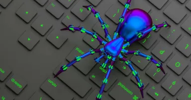 spider_AdobeStock_499192019