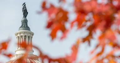 capitol building dome close up in autumn