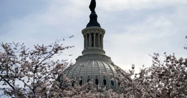US Capitol Dome