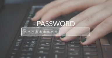 Password Box in Internet Browser