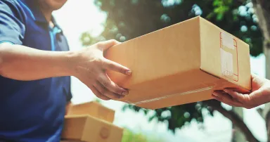 Delivery man delivering holding parcel box to customer